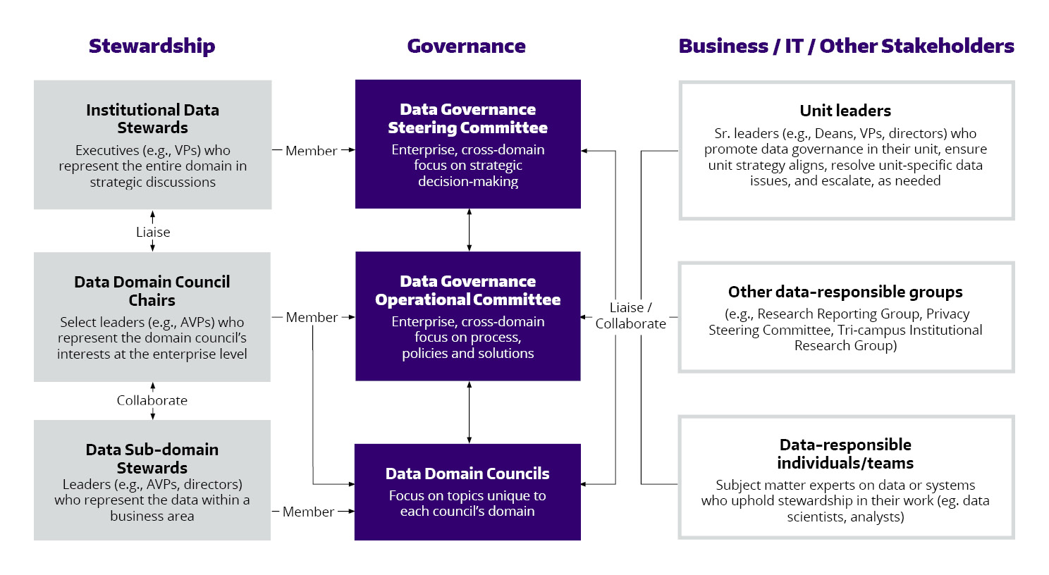 A diagram showing the relationships between different data governance bodies within an organization, including the Data Governance Steering Committee, Data Governance Operational Committee, Data Domain Councils, and others.