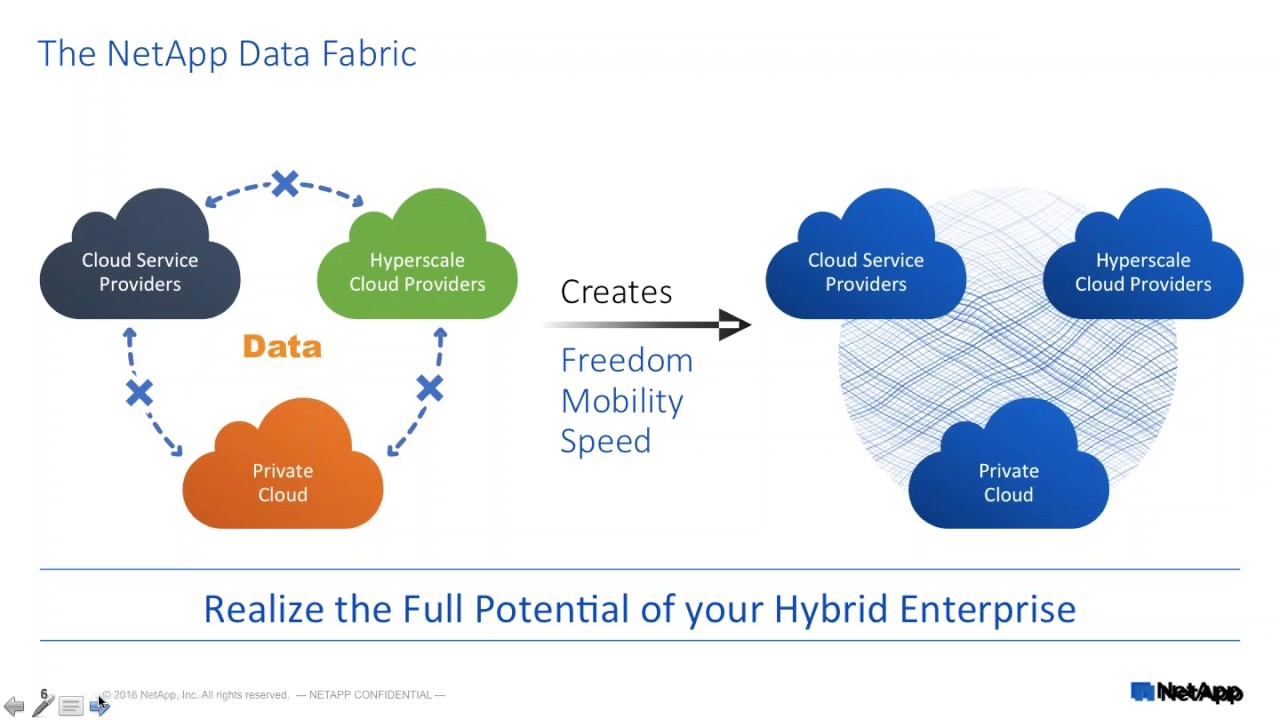 The image shows the NetApp Data Fabric, which enables data mobility between cloud service providers and private clouds.